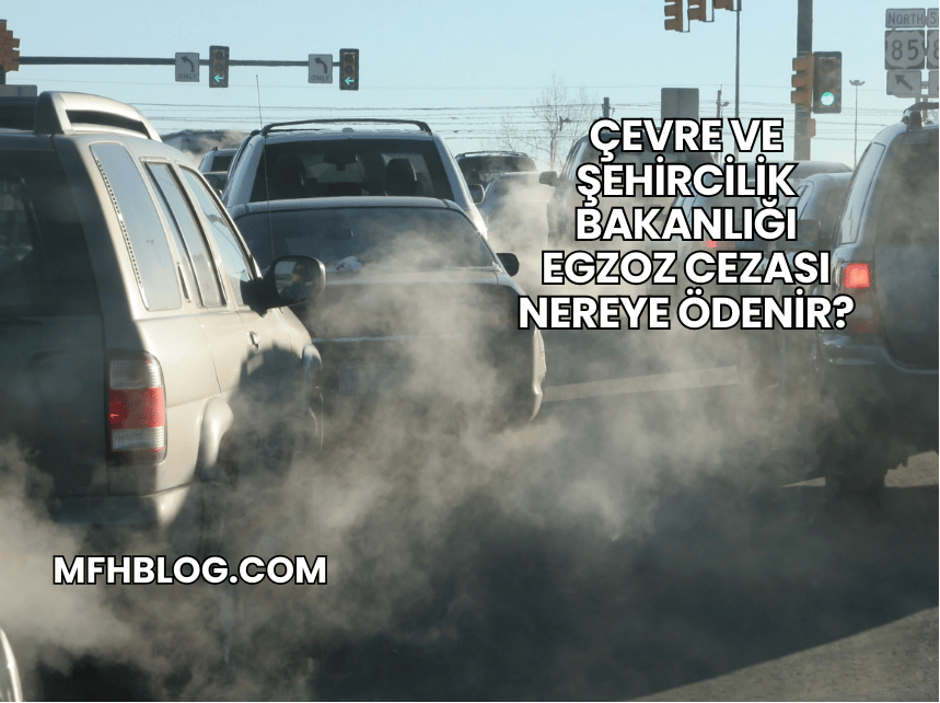 Çevre ve Şehircilik Bakanlığı Egzoz Cezası Nereye Ödenir?