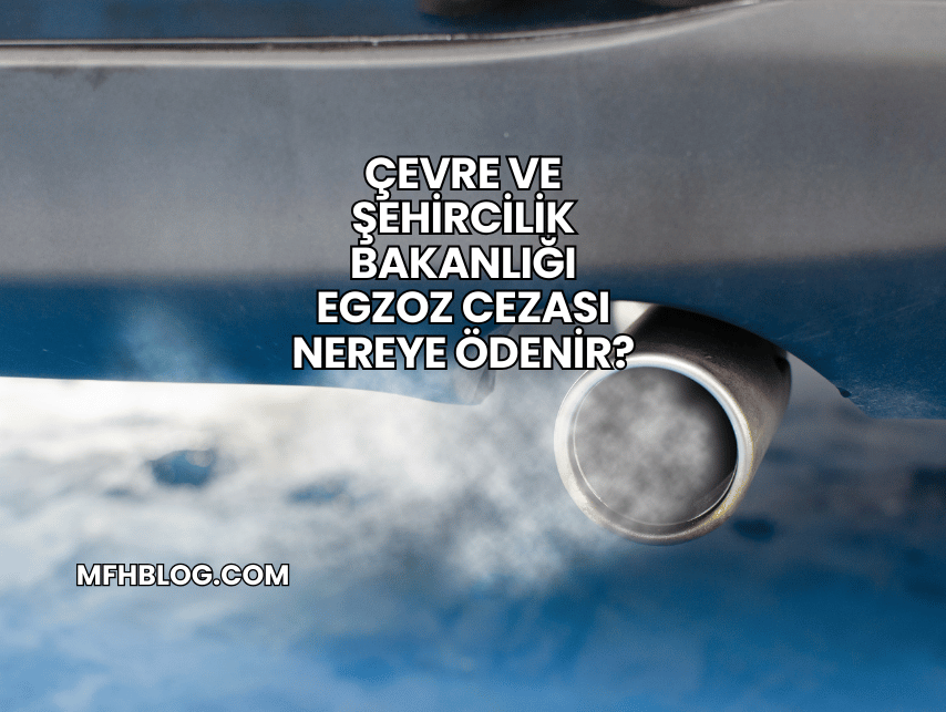 Çevre ve Şehircilik Bakanlığı Egzoz Cezası Nereye Ödenir?