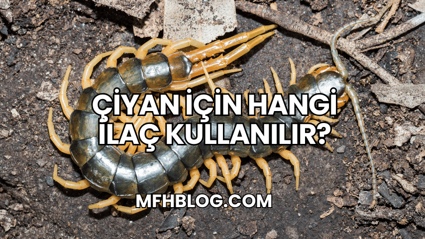 Çiyan İçin Hangi İlaç Kullanılır?