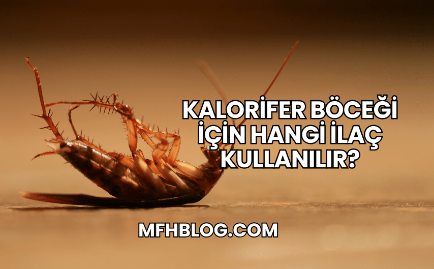 Kalorifer Böceği İçin Hangi İlaç Kullanılır?