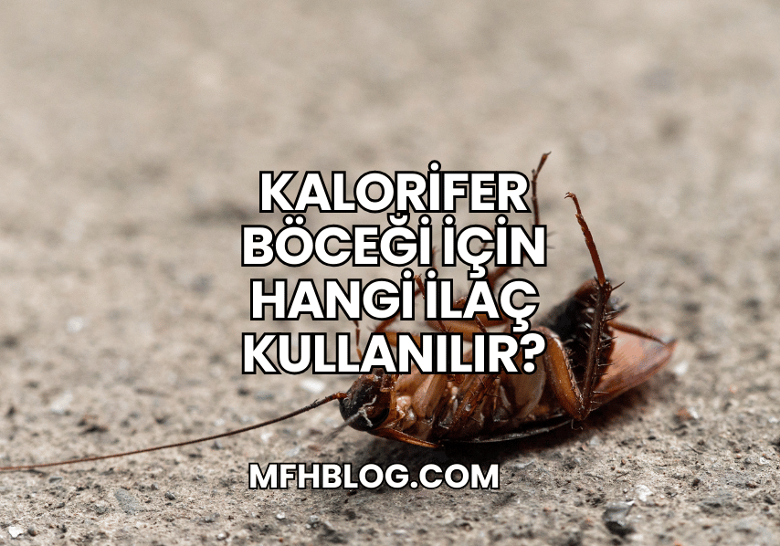 Kalorifer Böceği İçin Hangi İlaç Kullanılır?