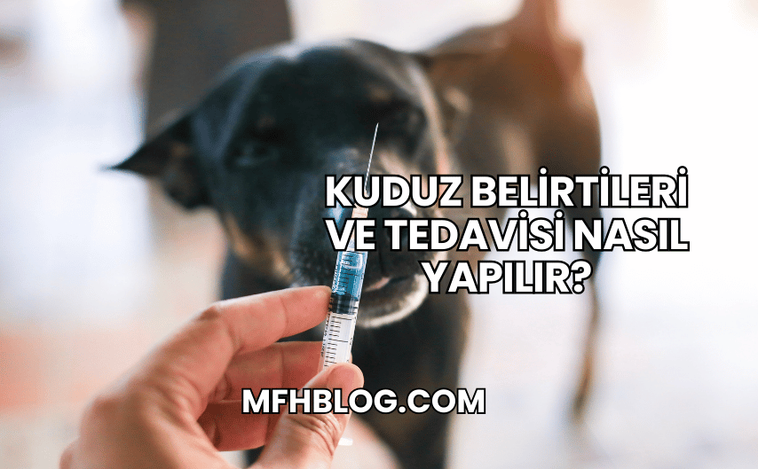 Kuduz Belirtileri ve Tedavisi Nasıl Yapılır?