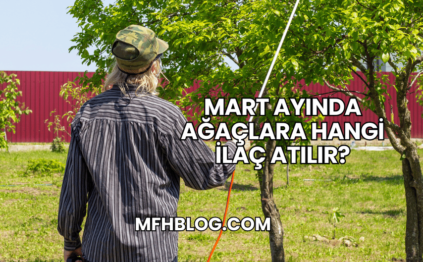 Mart Ayında Ağaçlara Hangi İlaç Atılır?