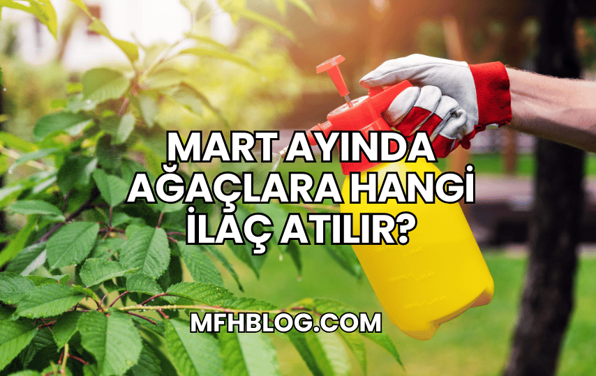 Mart Ayında Ağaçlara Hangi İlaç Atılır?