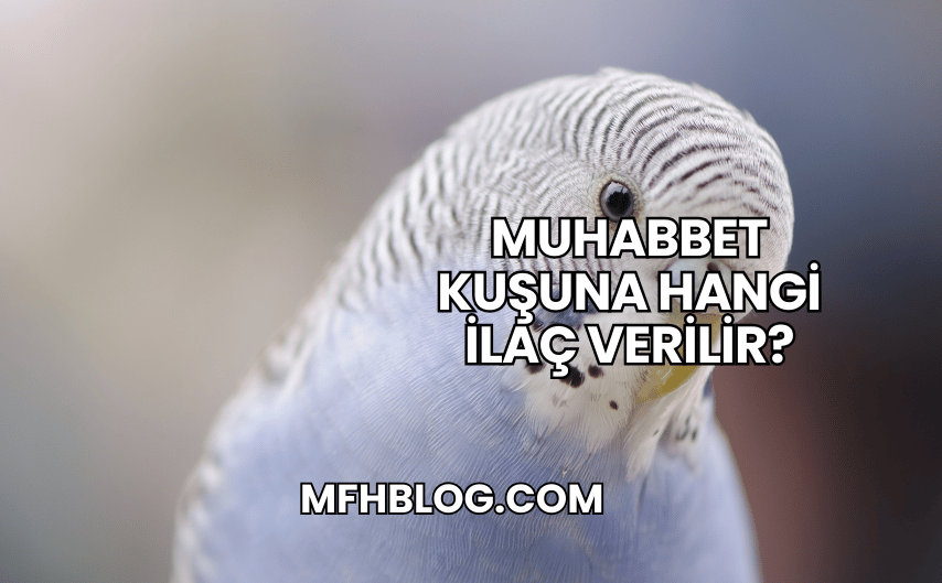 Muhabbet Kuşuna Hangi İlaç Verilir?