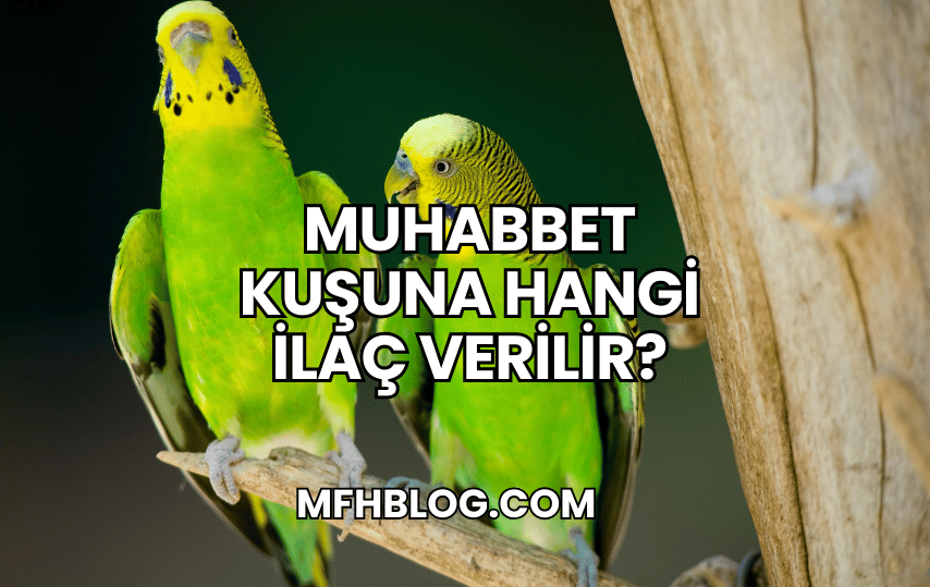 Muhabbet Kuşuna Hangi İlaç Verilir?