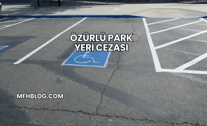 Özürlü Park Yeri Cezası