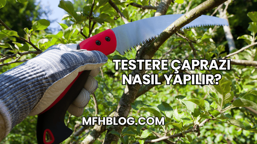 Testere Çaprazı Nasıl Yapılır?