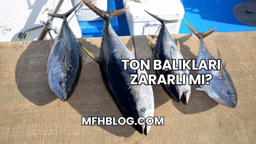 Ton Balıkları Zararlı mı?