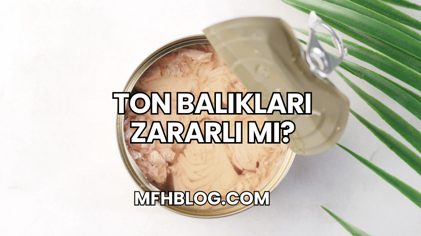 Ton Balıkları Zararlı mı?