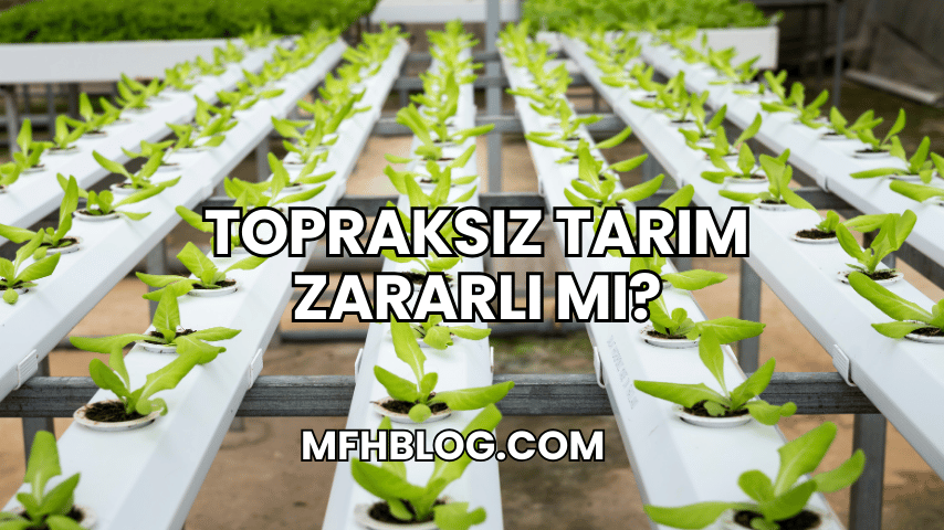 Topraksız Tarım Zararlı mı?