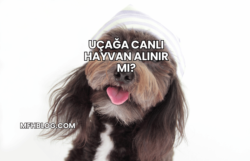 Uçağa Canlı Hayvan Alınır mı?