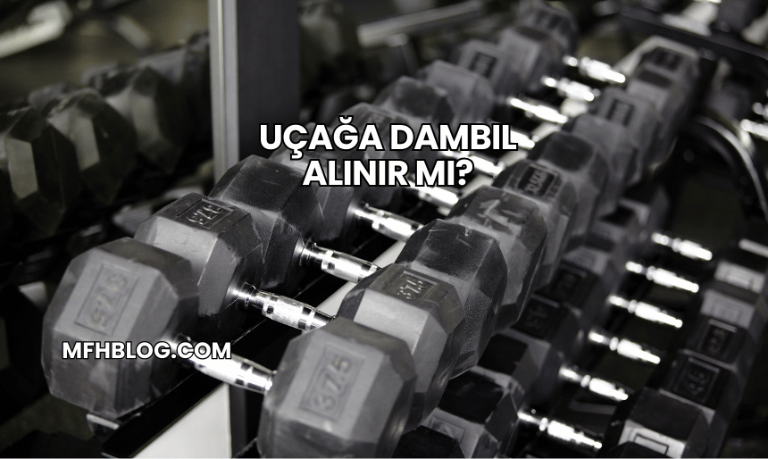 Uçağa Dambıl Alınır mı?