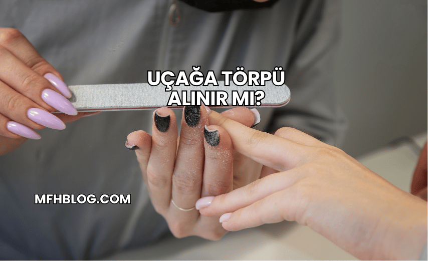 Uçağa Törpü Alınır mı?