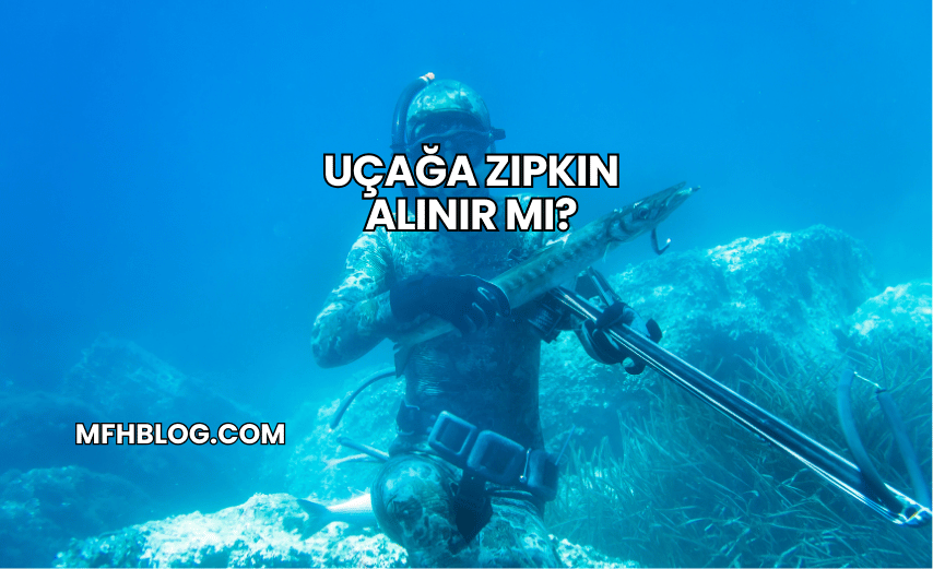 Uçağa Zıpkın Alınır mı?