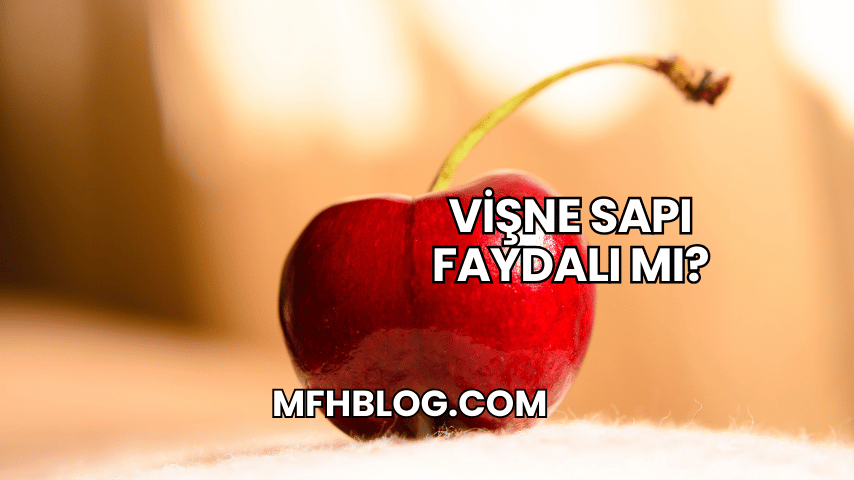 Vişne Sapı Faydalı mı?