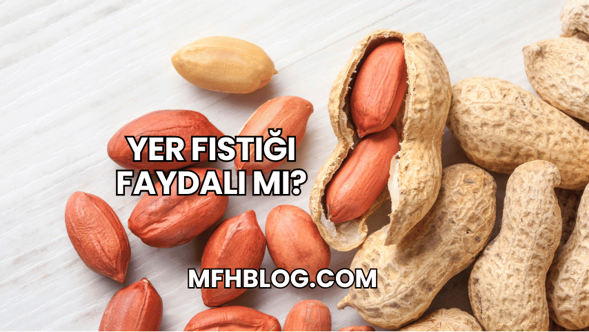 Yer Fıstığı Faydalı mı?