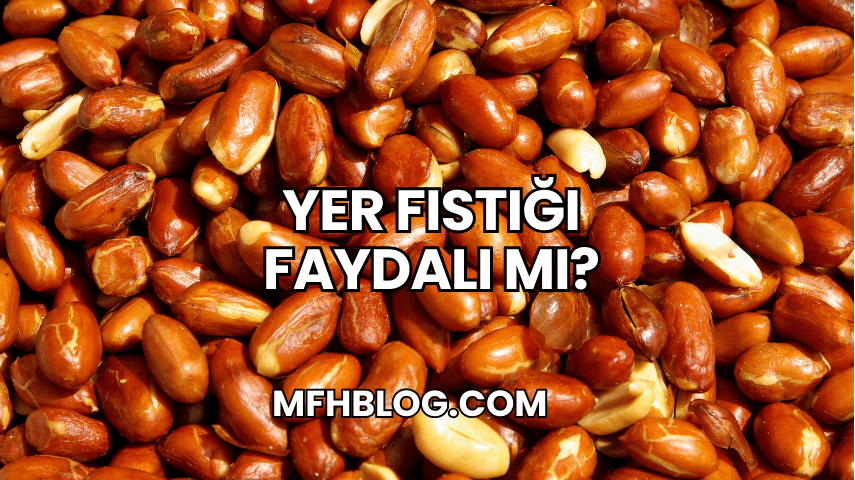 Yer Fıstığı Faydalı mı?