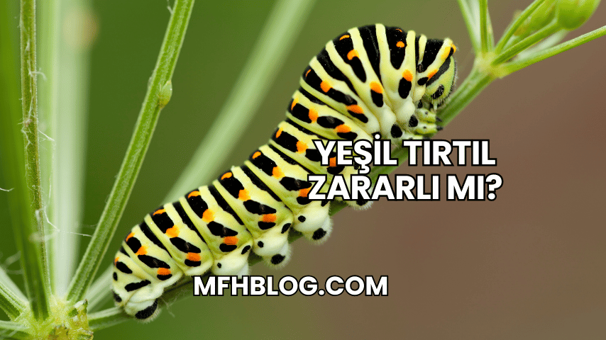 Yeşil Tırtıl Zararlı mı?