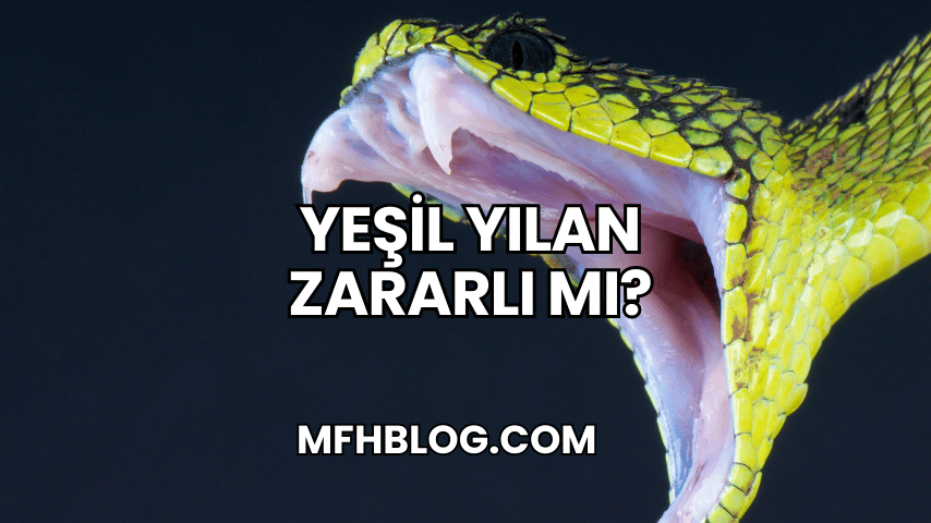 Yeşil Yılan Zararlı mı?