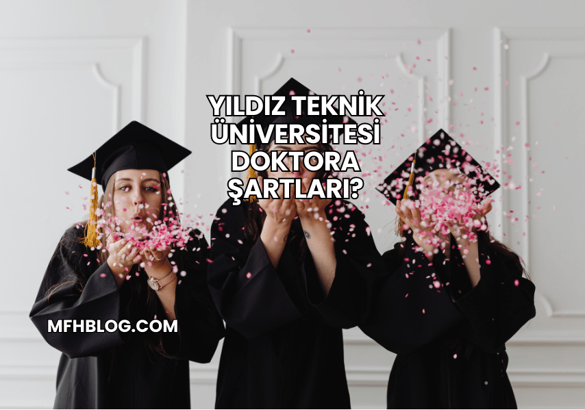 Yıldız Teknik Üniversitesi Doktora Şartları