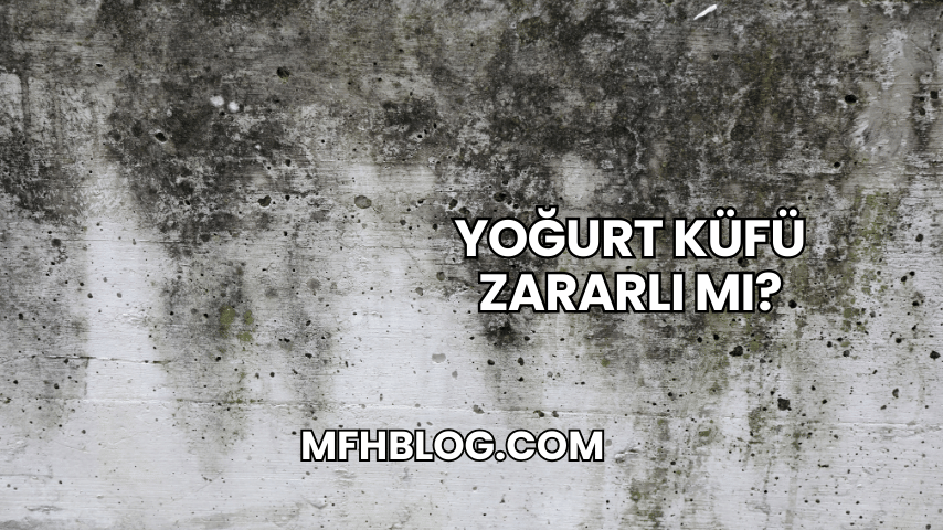 Yoğurt Küfü Zararlı mı?