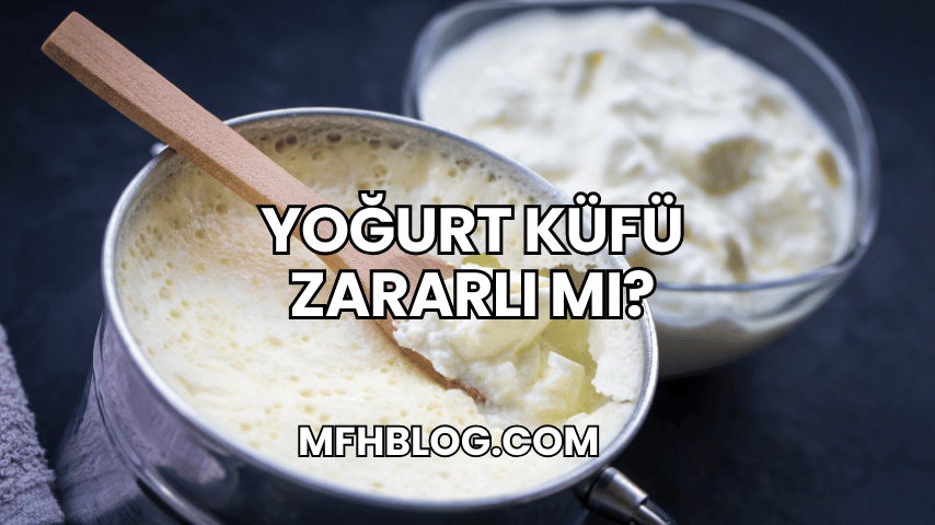 Yoğurt Küfü Zararlı mı?