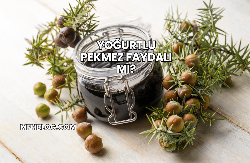 Yoğurtlu Pekmez Faydalı mı?