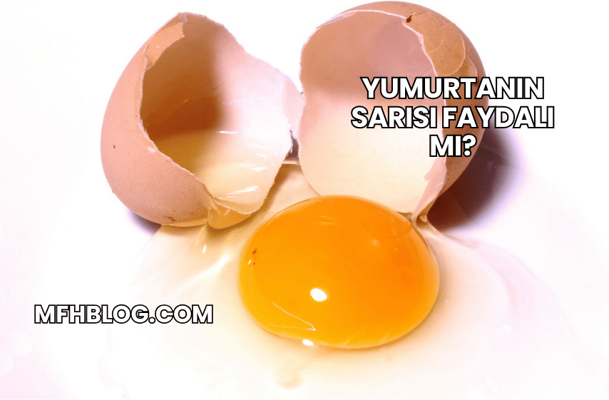 Yumurtanın Sarısı Faydalı mı?