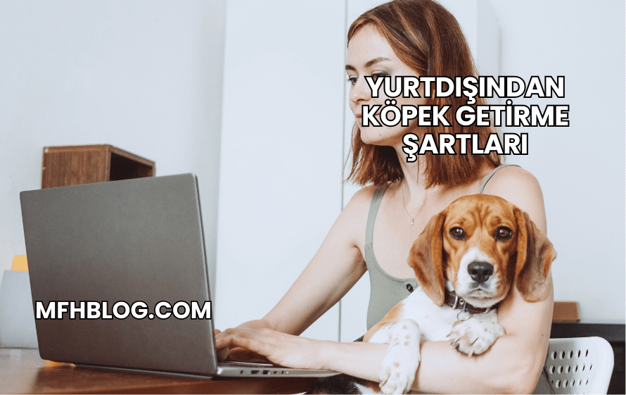 Yurtdışından Köpek Getirme Şartları