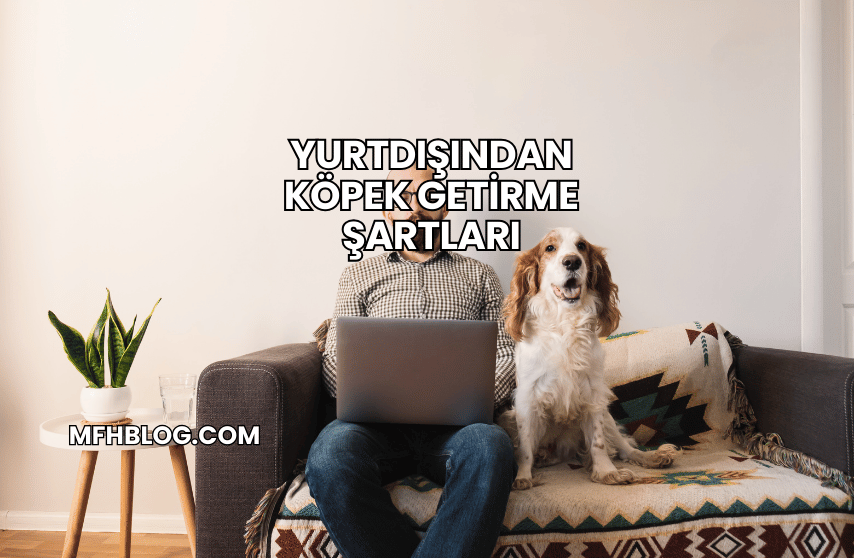 Yurtdışından Köpek Getirme Şartları