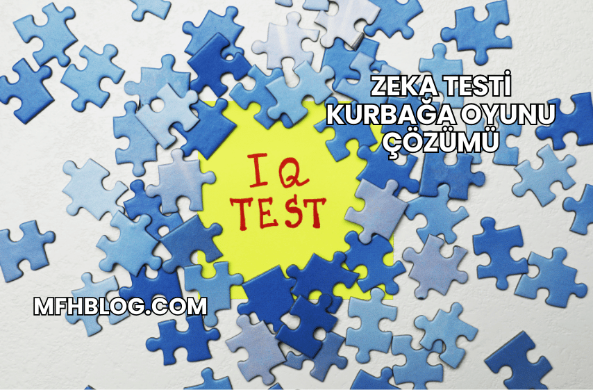 Zeka Testi Kurbağa Oyunu Çözümü