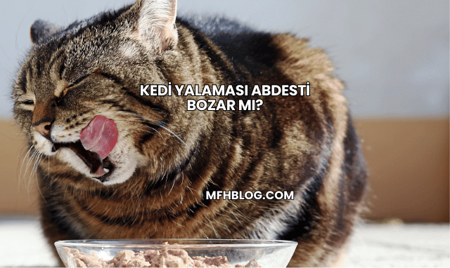 Kedi Yalaması Abdesti Bozar mı?